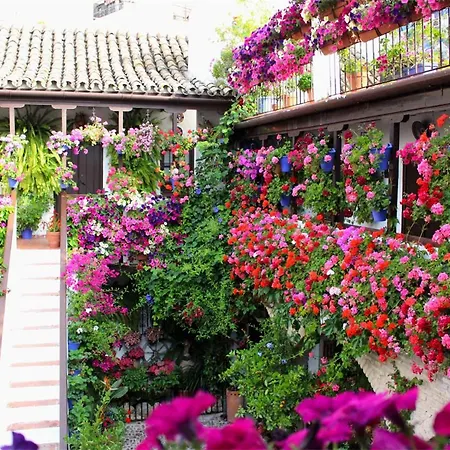 Apartamento Puerta A La Mezquita