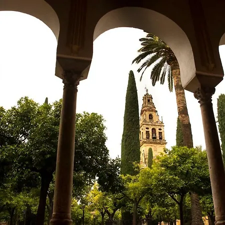 Puerta A La Mezquita Apartamento Córdova
